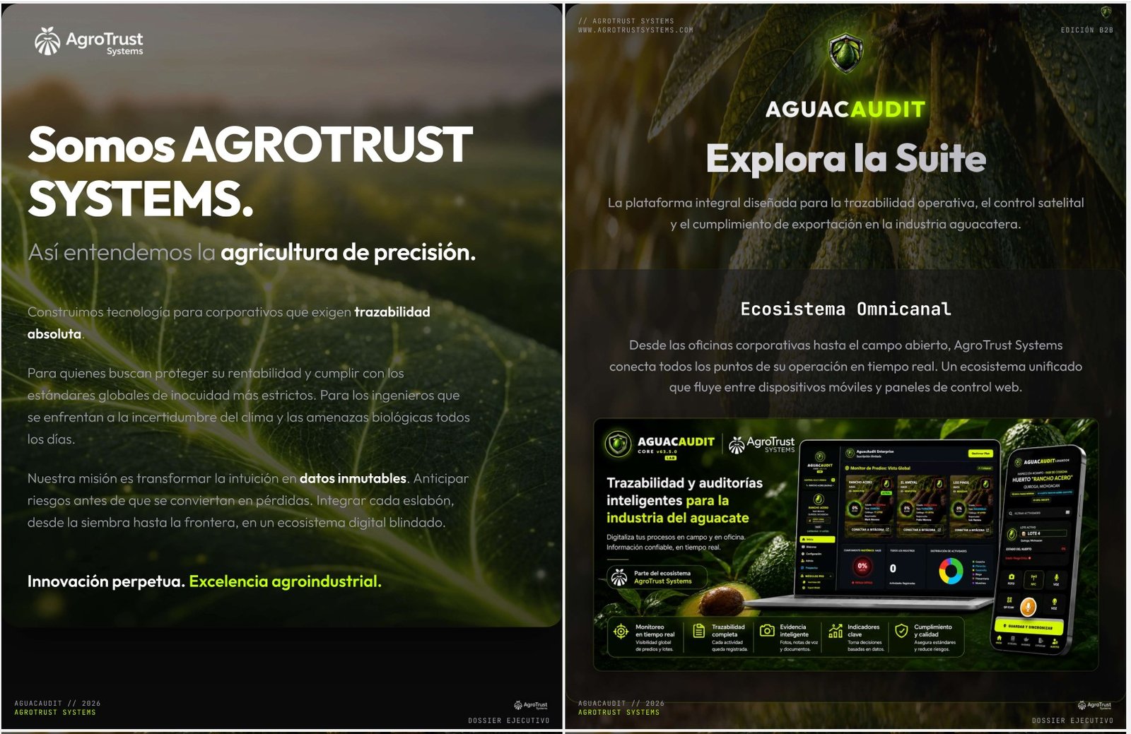 Dossier Ejecutivo