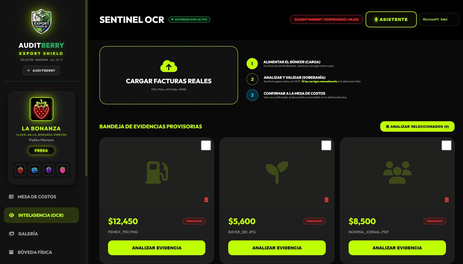 Peritaje OCR Sentinel