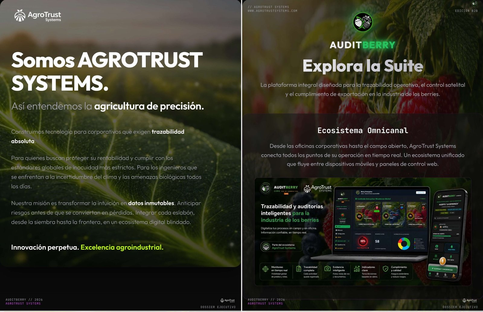 Dossier Ejecutivo