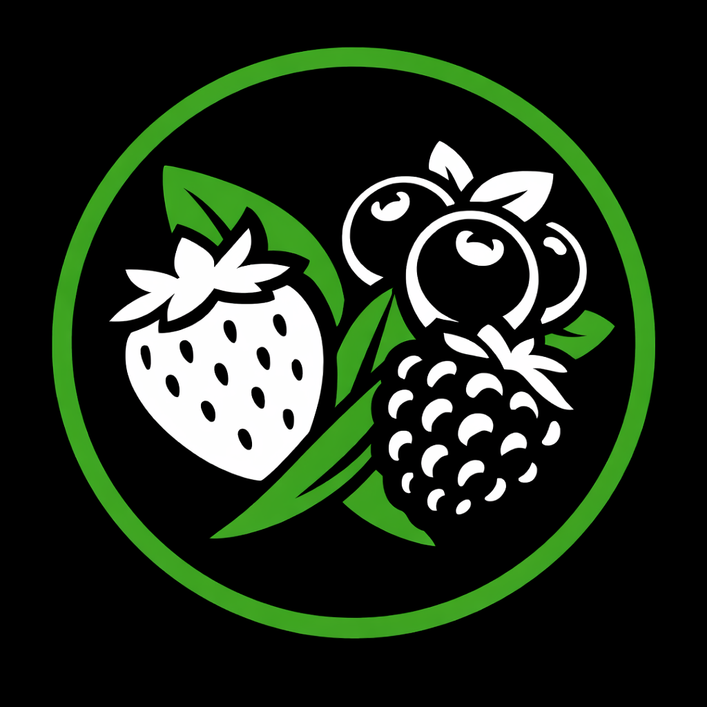 AuditBerry Logo
