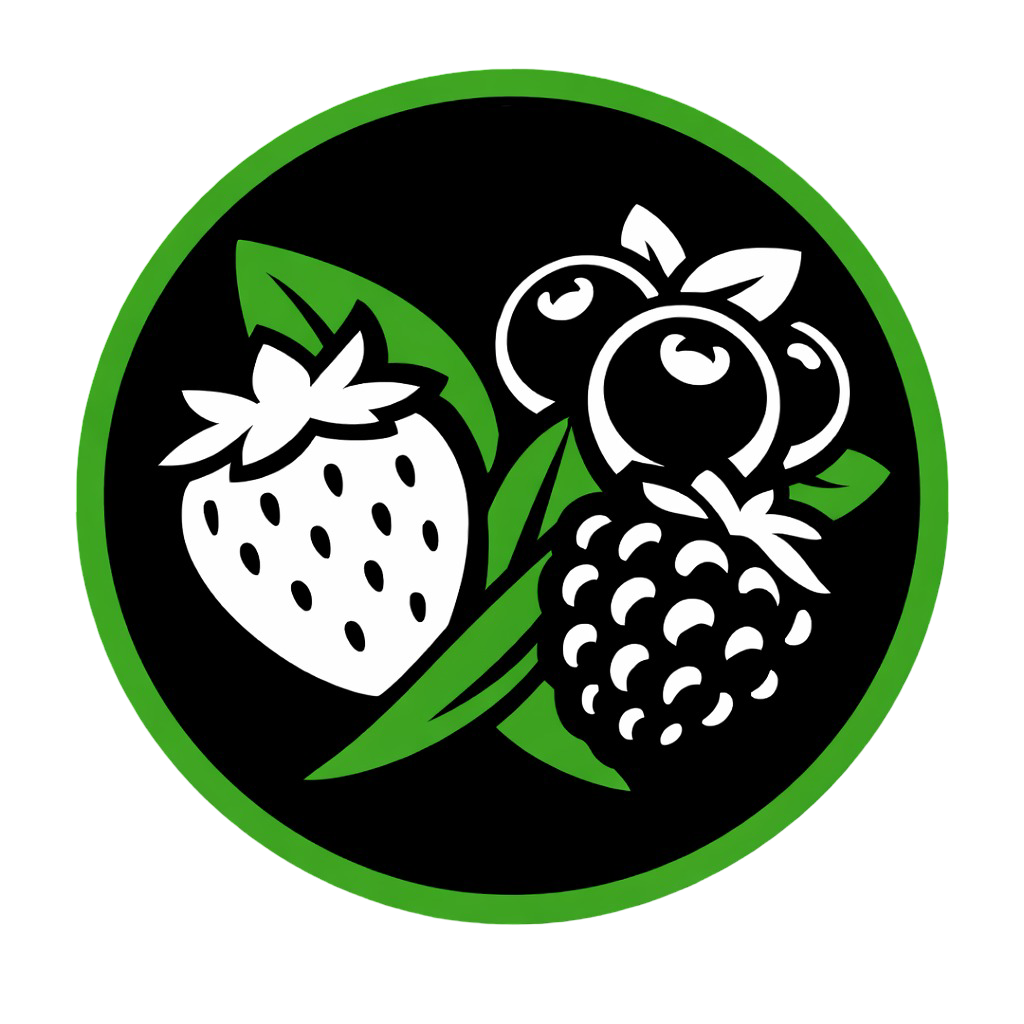AuditBerry