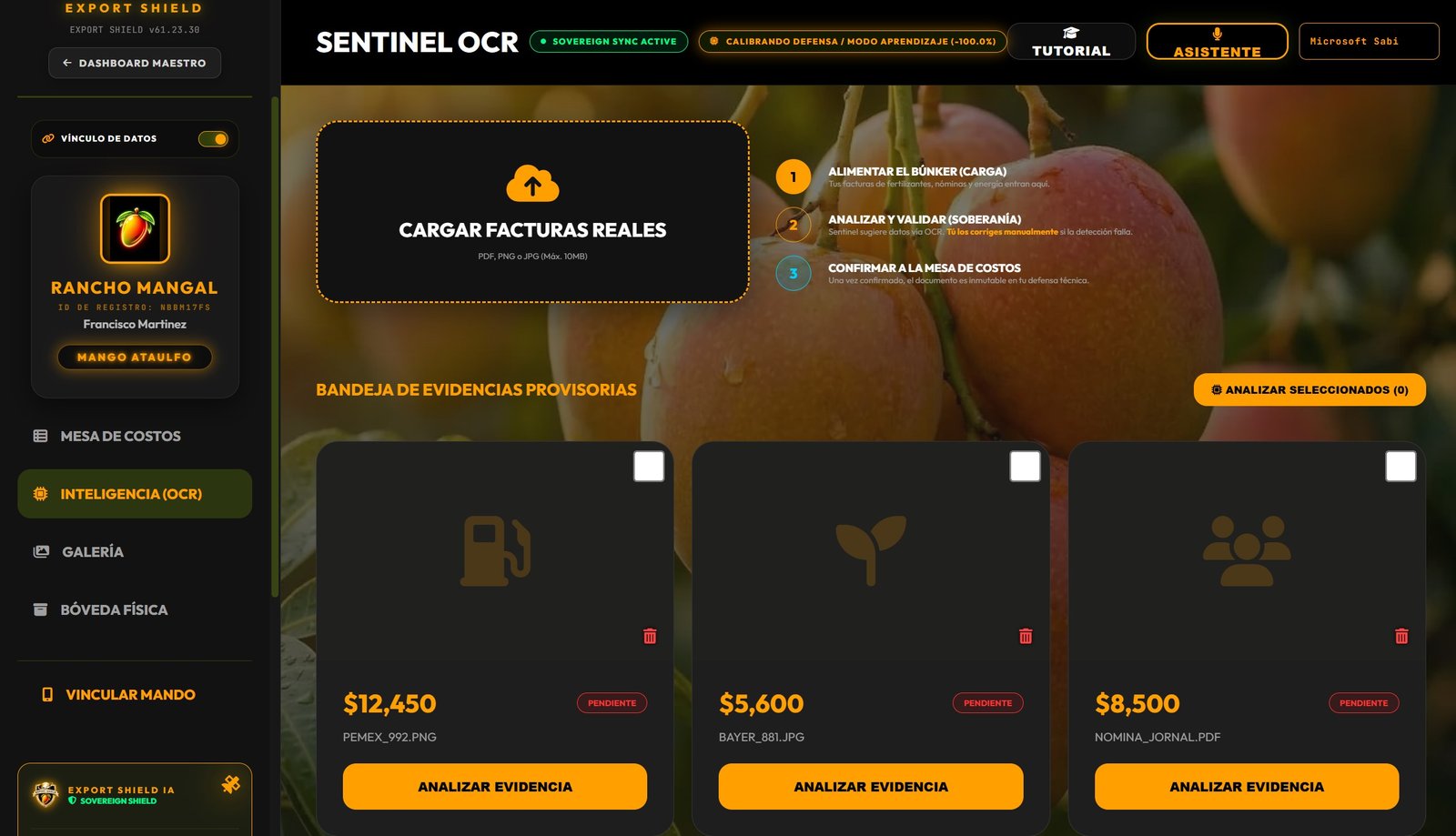 Peritaje OCR Sentinel