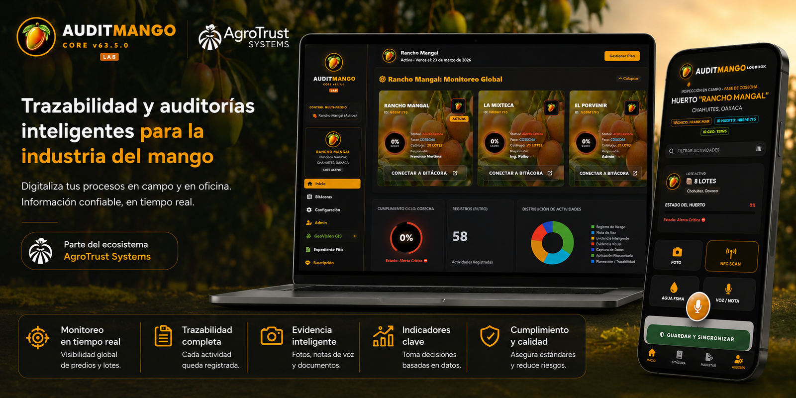 Dashboard y aplicación móvil de AuditMango para sanidad de mango