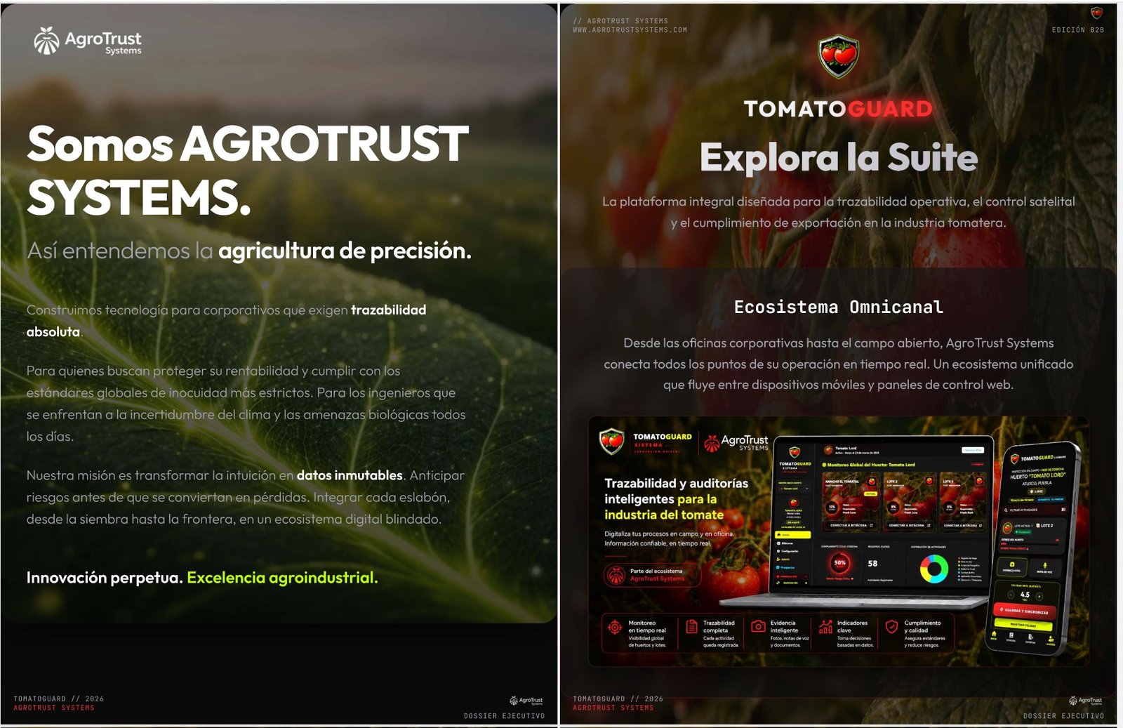 Dossier Ejecutivo